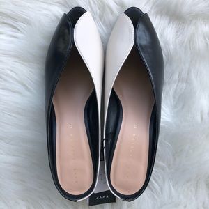 Zara Shoe BRAND NEW